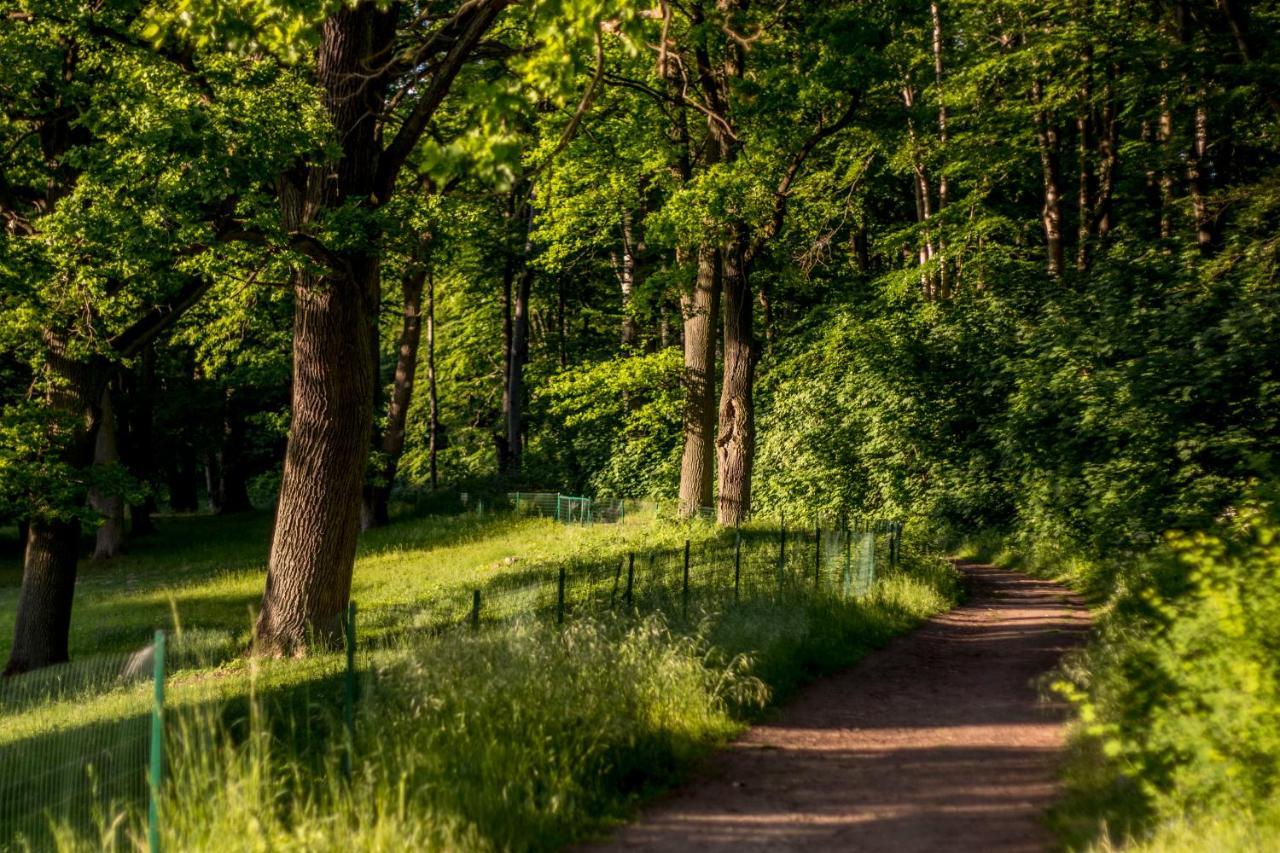 Palac Wąsowo Extérieur photo
